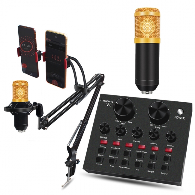 Микрофон студийный конденсаторный BM-800